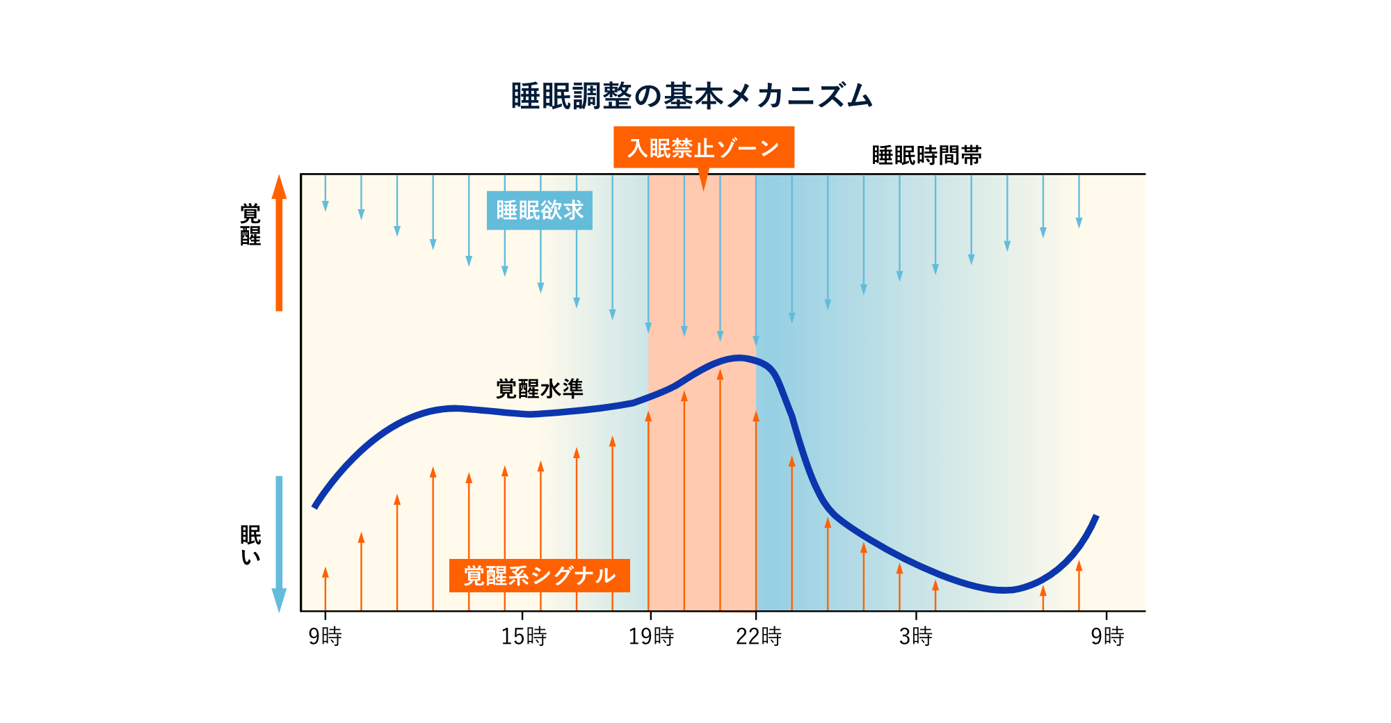 睡眠調整の基本メカニズム