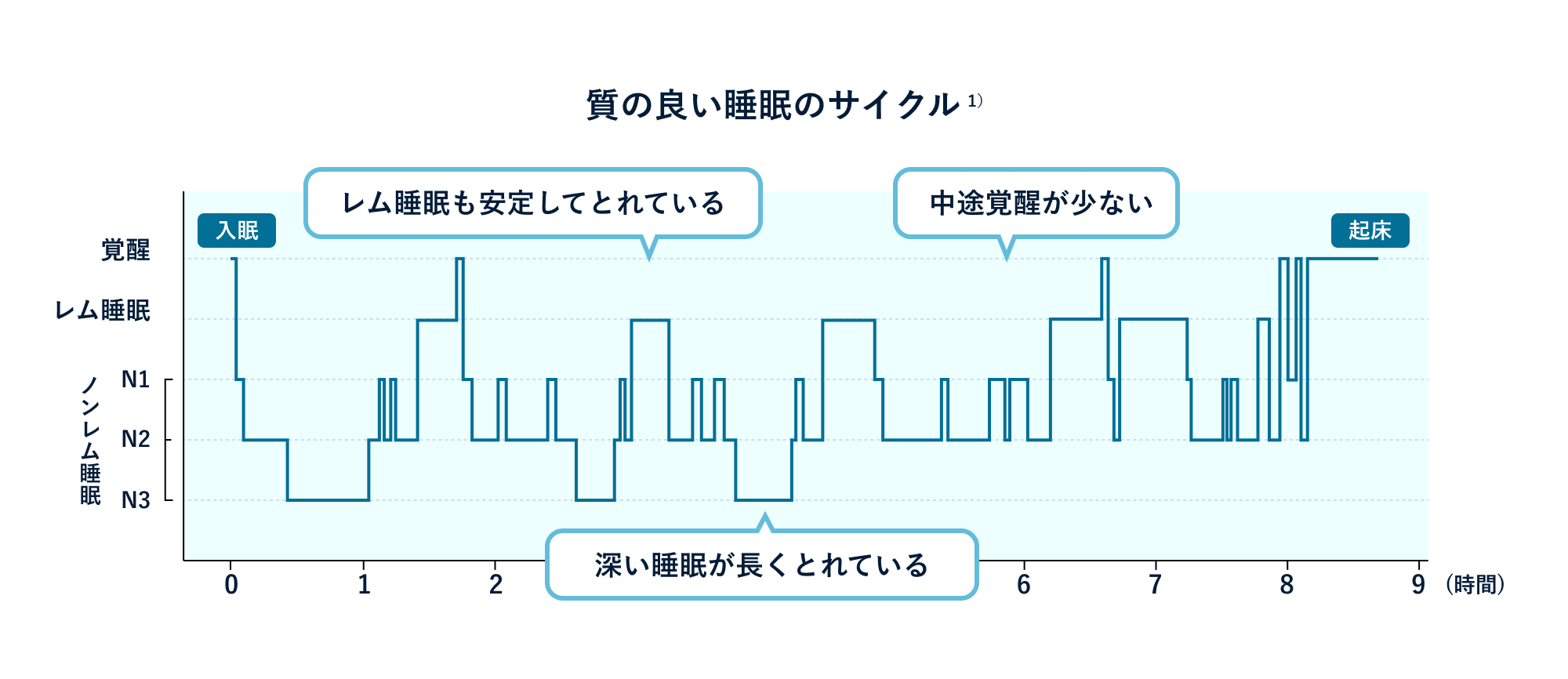 質の良い睡眠のサイクルの脳波