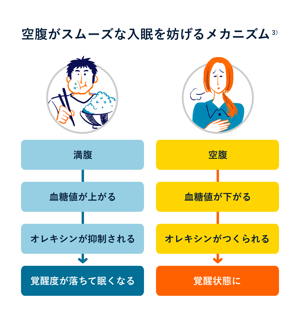 空腹がスムーズな入眠を妨げるメカニズム